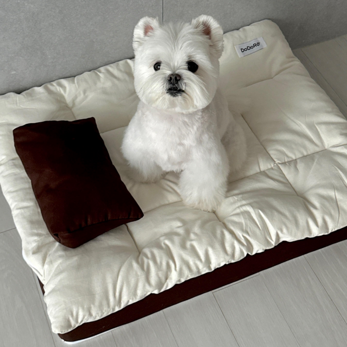 도도로 강아지 고양이 침대 브라운 , 방석 소파 쇼파 메트 사계절 방수 쿠션, 브라운, 1개