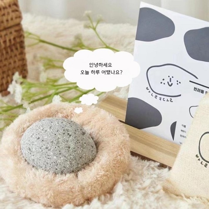 돌멩이키우기 반려돌키우기 애완돌 키우기 돌멩이 스톤펫 애완용돌 애완돌키우기 반려석 반려 돌멩이키우기 반려돌키우기 애완돌 키우기 돌멩이 스톤펫 애완용돌 애완돌키우기 반려석 반려