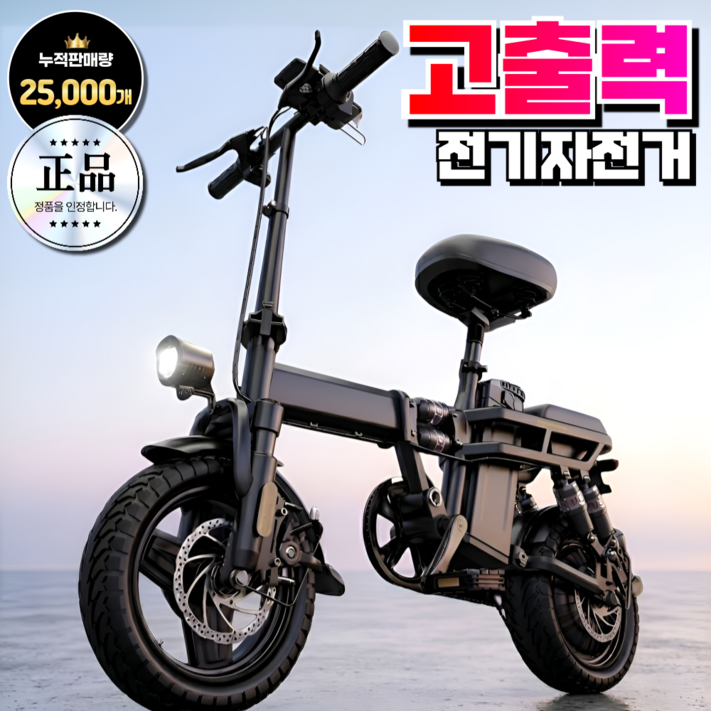 가람전자 접이식 전기자전거 고출력 전동 자토바이 배달 가성비 파스 pas