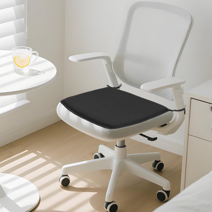 자시스 메쉬 통풍 방석, 블랙