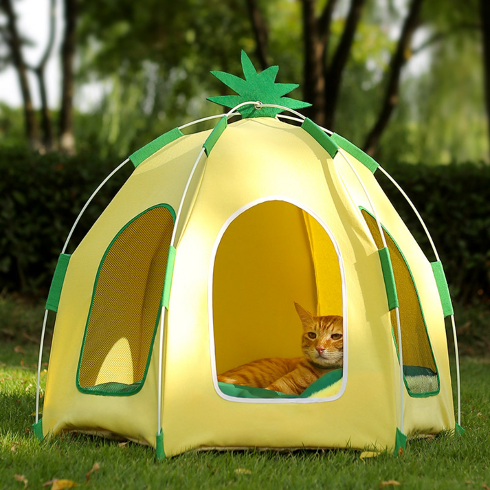 고양이텐트 칠시 반려동물 감성 캠핑 파인애플 텐트, 혼합색상