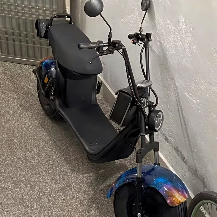 할리 전기스쿠터 팻 전동바이크 고출력 2000W 광폭타이어