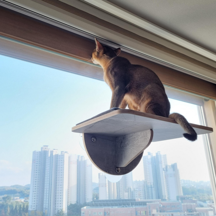 헤라우스점핑 고양이 일광욕 창문 캣타워 투명 해먹 캣워크 캣워커 캣폴