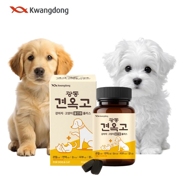 광동 견옥고 관절 면역 눈 장건강 올인원 플러스 트릿형