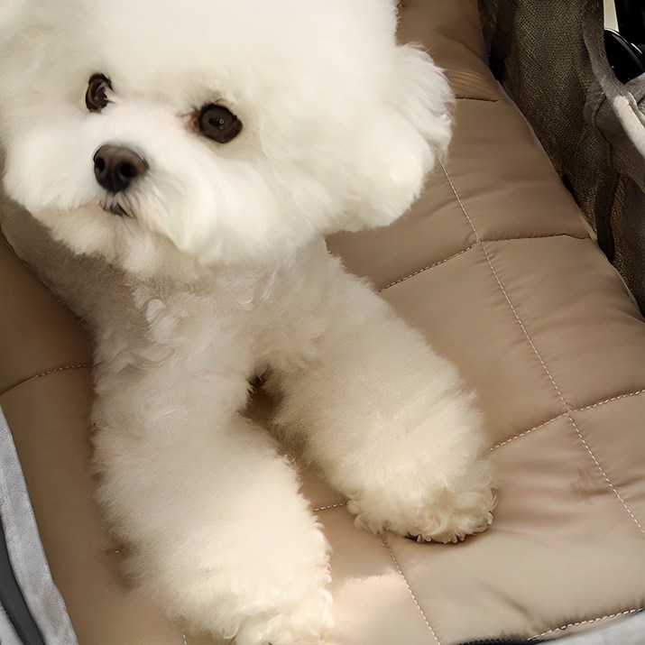 아망떼 알러지케어 다용도 방석 강아지용품 아망떼 알러지케어 다용도 방석 강아지용품