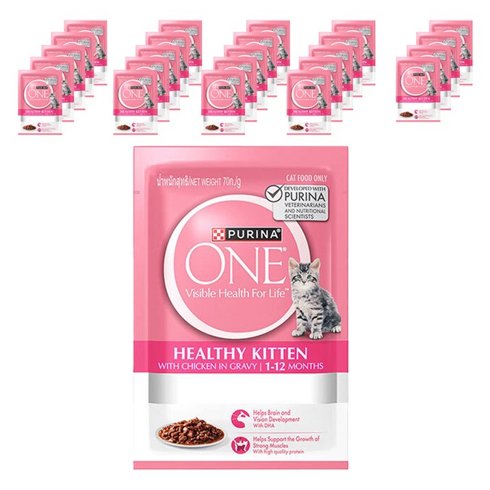 퓨리나원 캣 습식 기능성 사료, 키튼, 70g, 24개