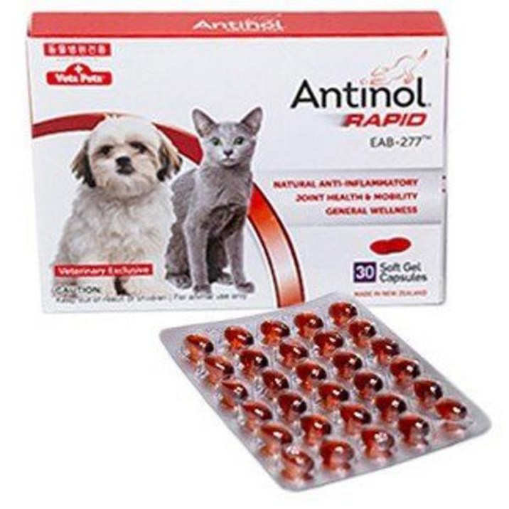 안티놀래피드 안티놀 래피드 30정 강아지 고양이 관절영양제 리뉴얼 제품 1021457