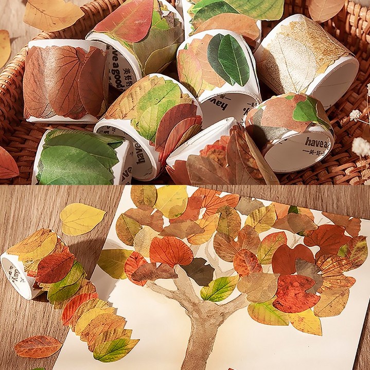 가을낙엽 롤 스티커 50개입 10롤 단풍잎 나뭇잎 어린이집 유치원, 느티나무 잎