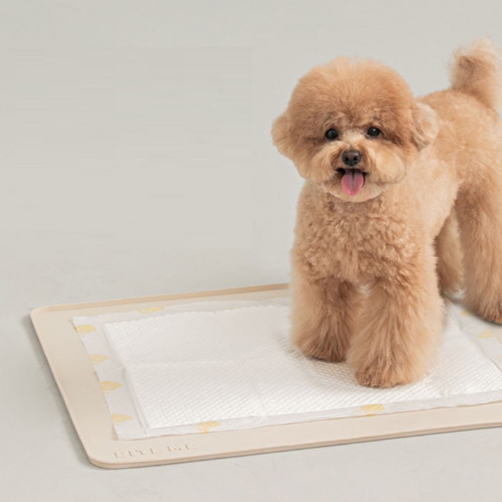 강아지배변매트 바잇미 논슬립 실리콘 배변매트 대형, 베이지, 1개