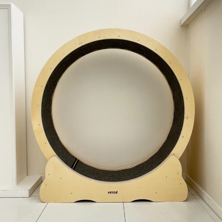 PETCA 고양이 무소음 캣휠 XL 지름110cm, 1개