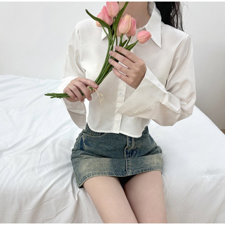 당일출고3계절심플 데일리 크롭 셔츠4color