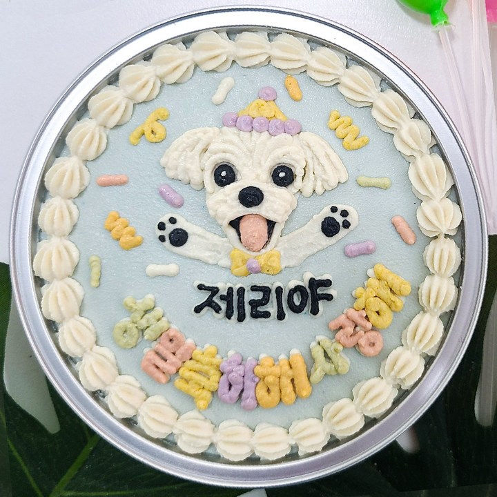 강아지수제케이크 강아지 생일 케이크 반려동물 수제 주문형 강아지보틀케이크 주문제작 케이크