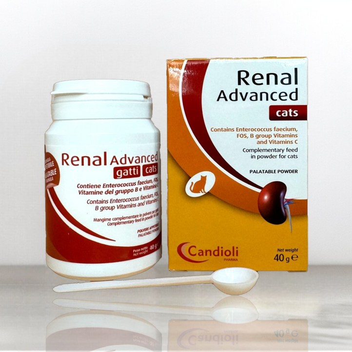 칸디올리 레날 어드밴스 캣 영양제