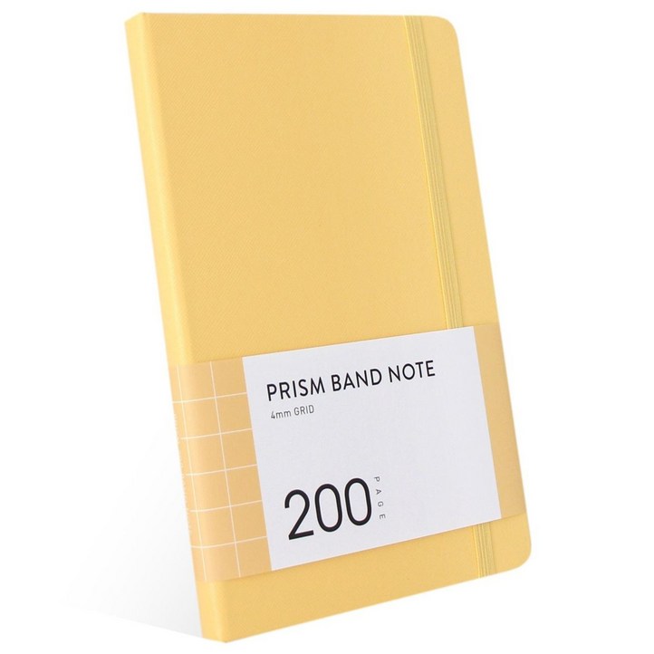 인디고 프리즘 200 밴드노트 모눈