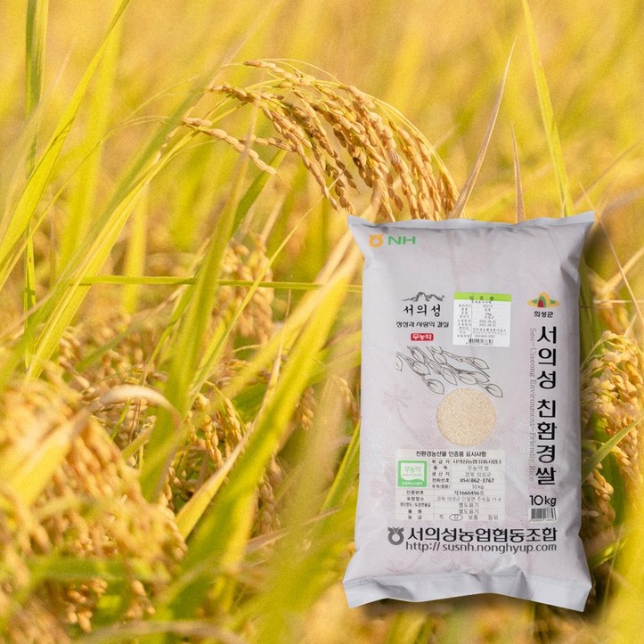 농부플러스 햅쌀 의성의미 일품미쌀 단일미 백미 무농약 친환경쌀 - 쇼핑뉴스