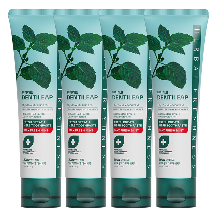 2080 덴티리프 일사오공맥스 후레쉬치약, 120g, 4개