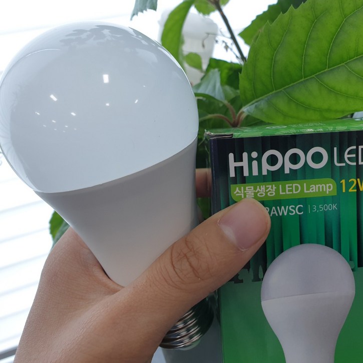 히포팜텍 식물생장LED 식물등 식물용 성장 생장 재배 전구 램프 AGF12BWSC, 1개 10