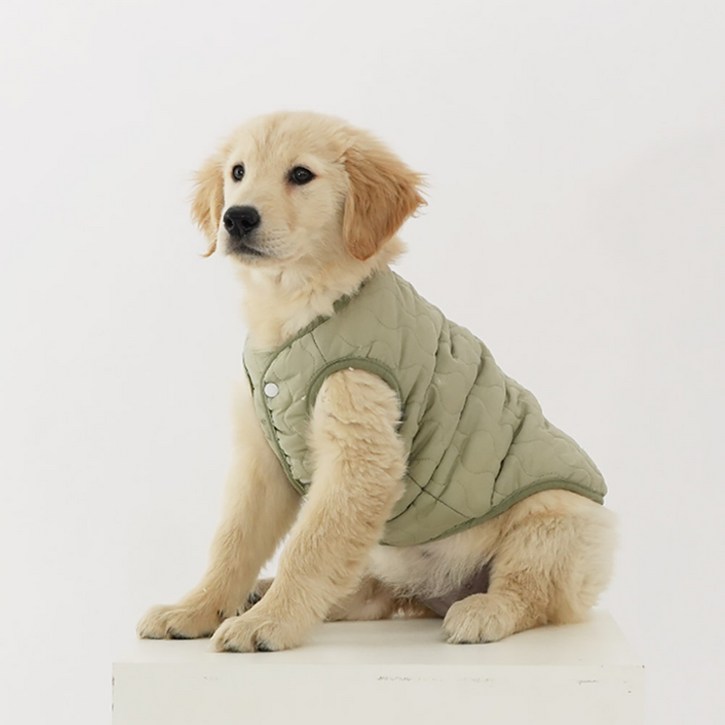 쪼꼬마미 강아지옷 뽀글이 귀달이 강아지 후드티 겨울 패딩 애견옷 소형견 중형견 강아지옷 추천