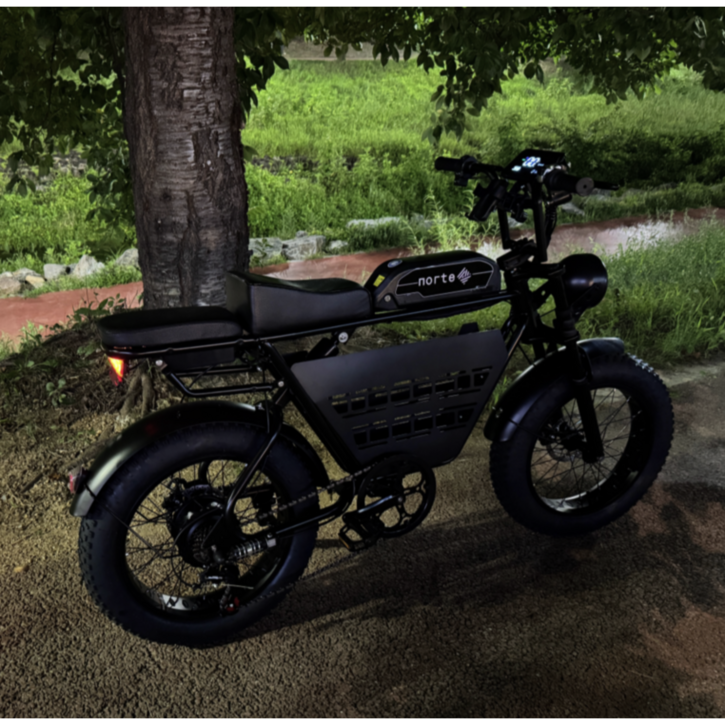 노르테 전기 자전거 자토바이 전동 스쿠터 팻바이크 MTB 배달용 출퇴근용