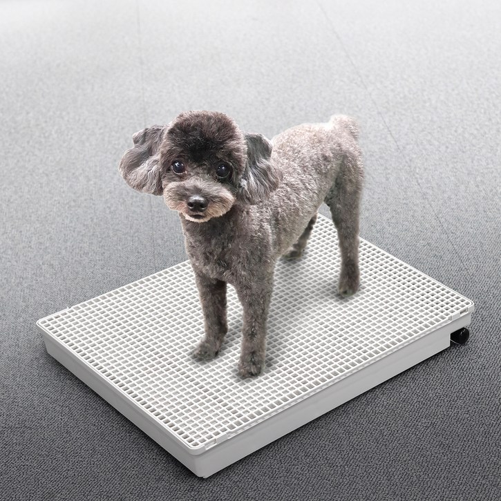 멍멍쉬 강아지 배변판 ,배수호스가 있어 물세척이 가능한 편리한 배변판, 1개, 화이트