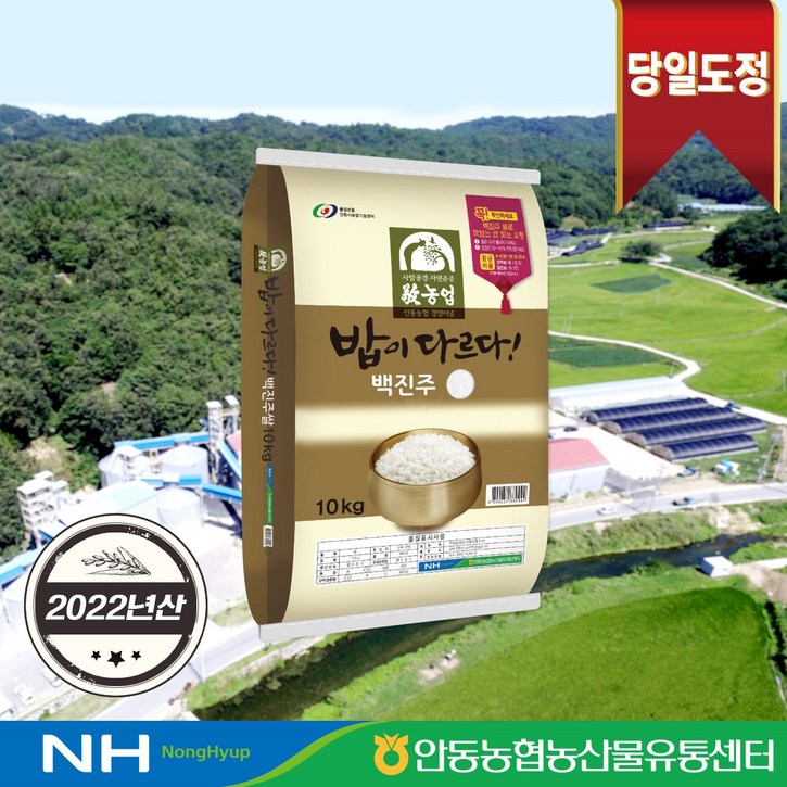 [2022년산] 밥이 다르다 안동농협 백진주쌀 10kg - 쇼핑앤샵