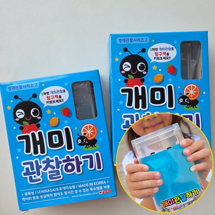 개미키우기 개미관찰하기 중형 블루