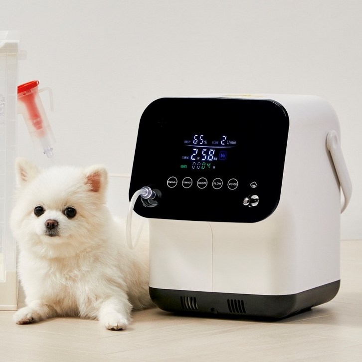 가정용 휴대용 강아지 산소발생기 오투프리 95, 기본 - 쇼핑뉴스
