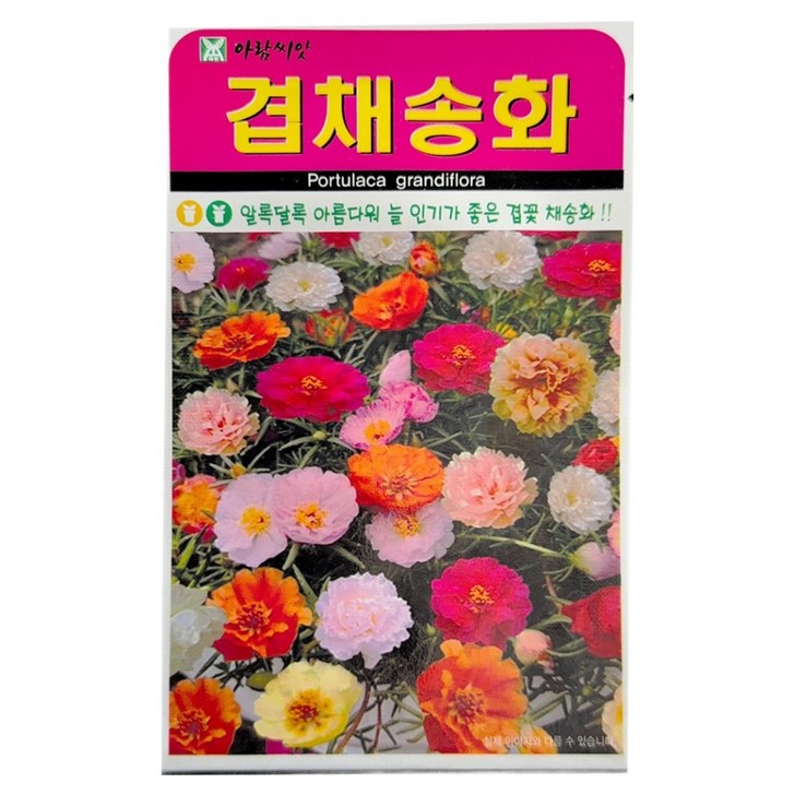 아람종묘 겹채송화 꽃 씨앗 1000립