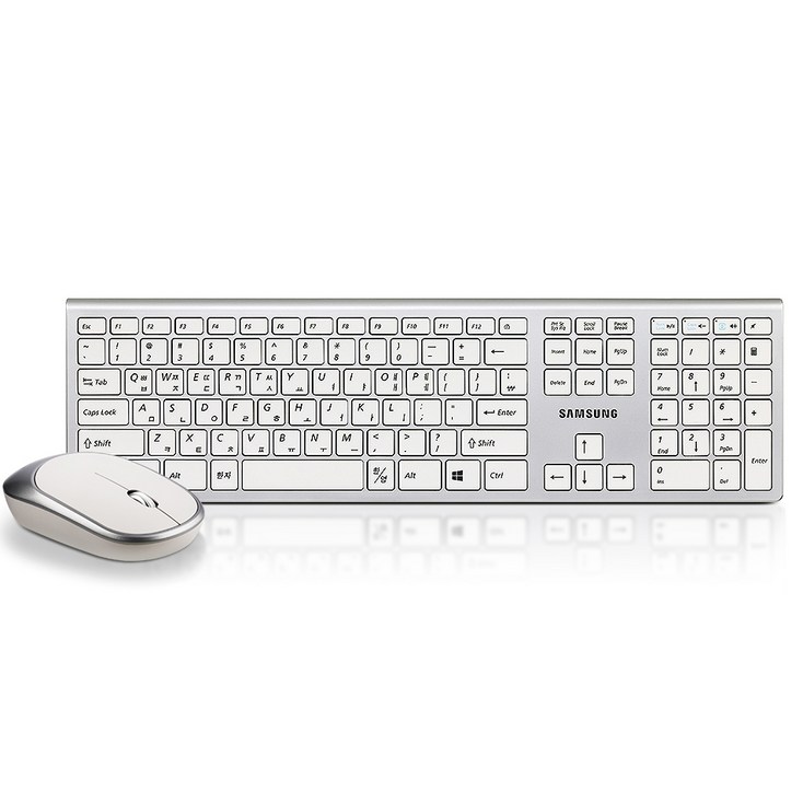 삼성전자 무선 키보드  마우스 세트, 일반형, SRP9500W, 단일색상