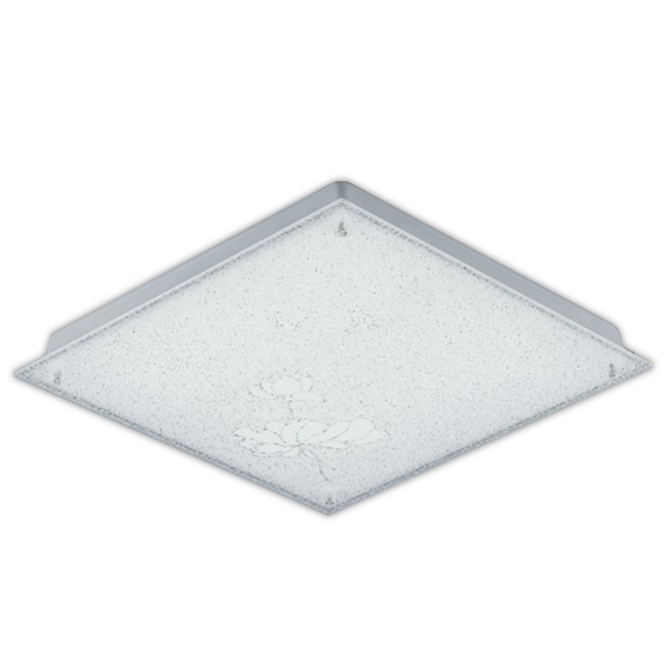 LED 고정형 유리방등 장미 50W 실링라이트