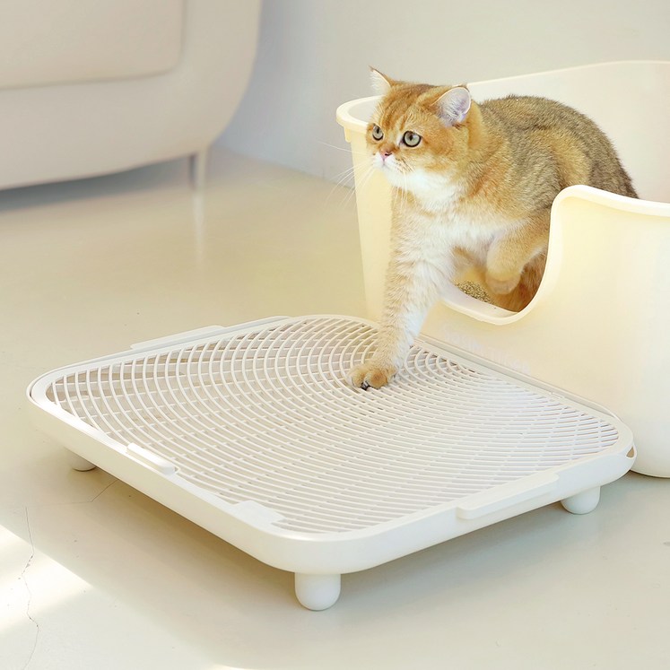 소심한호랑이 고양이 심쿵발판, 아이보리, 1개 소심한호랑이 고양이 심쿵발판, 아이보리, 1개