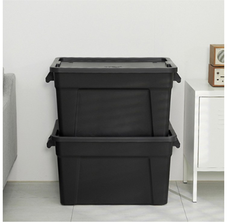 라이피스트 자이언트 리빙박스