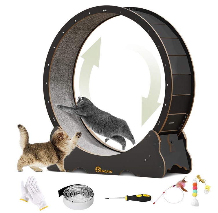 런캣 캣휠 롤러 실내사용 고양이 운동훈련 헬스 캣휠 원목색 다양한